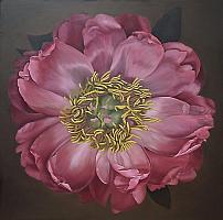 Traute ZiegenfuA, peony I oil 80x80 cm